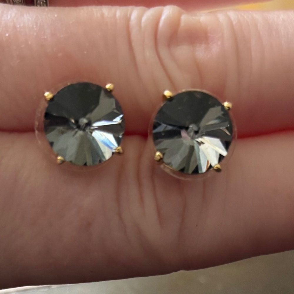 Ann Taylor earrings
